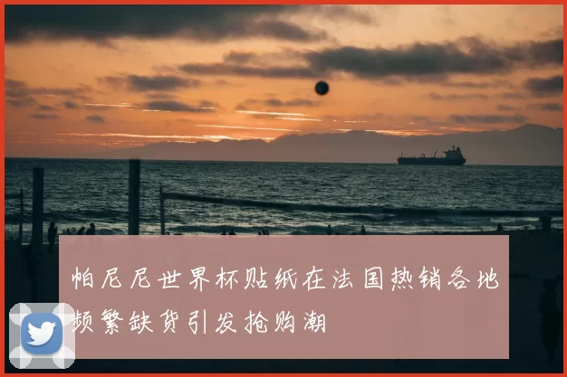 帕尼尼世界杯贴纸在法国热销各地频繁缺货引发抢购潮