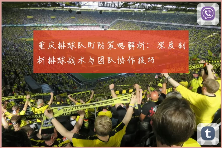 重庆排球队盯防策略解析:深度剖析排球战术与团队协作技巧