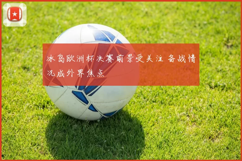 冰岛欧洲杯决赛前景受关注 备战情况成外界焦点