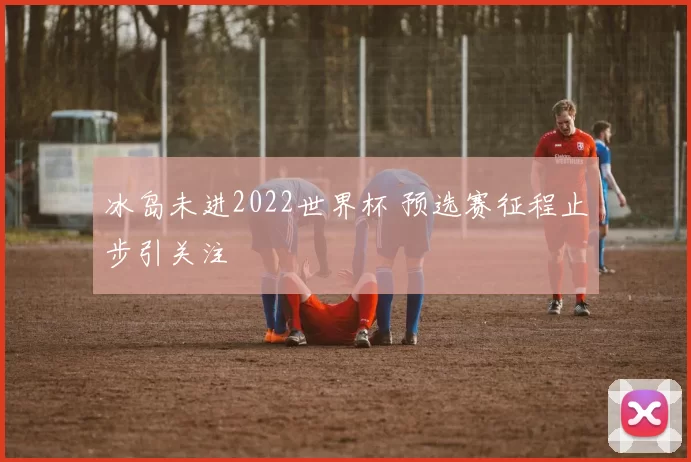 冰岛未进2022世界杯 预选赛征程止步引关注