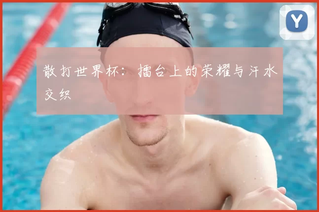 散打世界杯:擂台上的荣耀与汗水交织