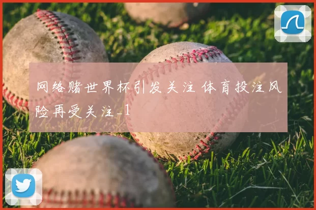 网络赌世界杯引发关注 体育投注风险再受关注_1