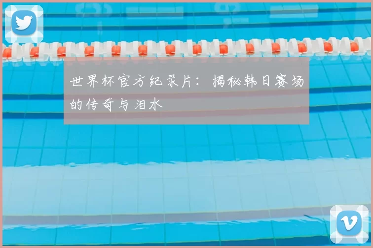 世界杯官方纪录片：揭秘韩日赛场的传奇与泪水