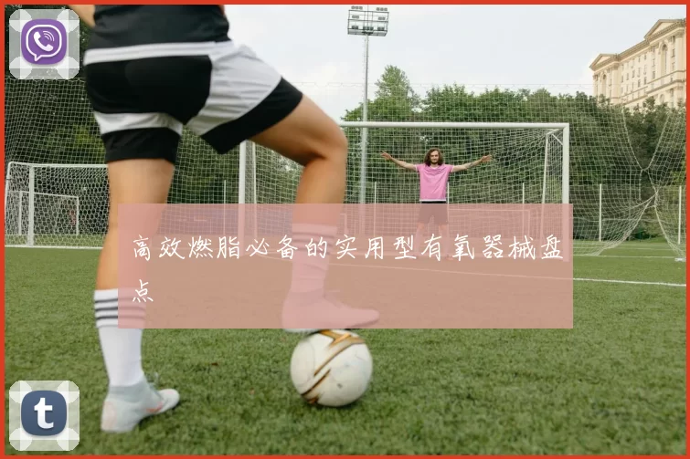 高效燃脂必备的实用型有氧器械盘点