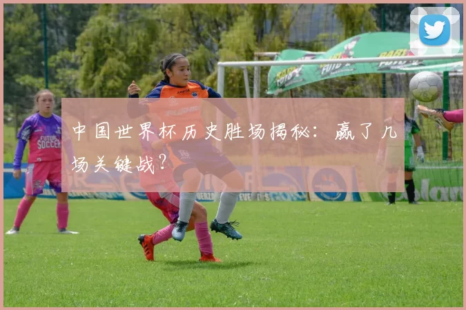 中国世界杯历史胜场揭秘:赢了几场关键战?