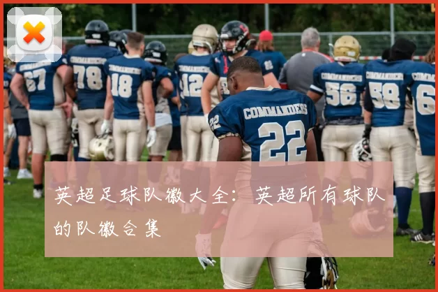 英超足球队徽大全:英超所有球队的队徽合集