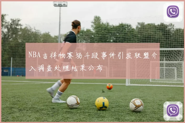 NBA吉祥物赛场斗殴事件引发联盟介入调查处理结果公布