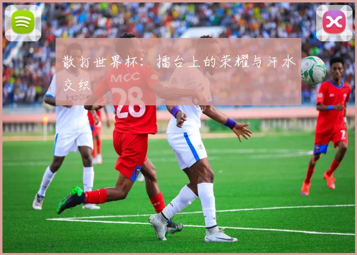 散打世界杯:擂台上的荣耀与汗水交织