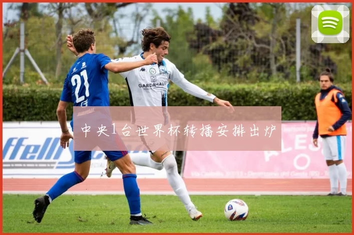 中央1台世界杯转播安排出炉