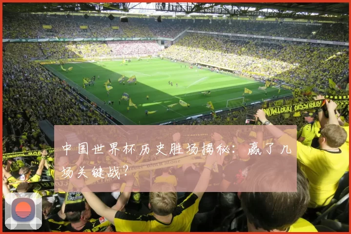 中国世界杯历史胜场揭秘：赢了几场关键战？
